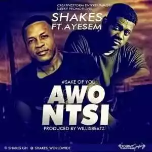Shakes - Awo Ntsi Ft. Ayesem